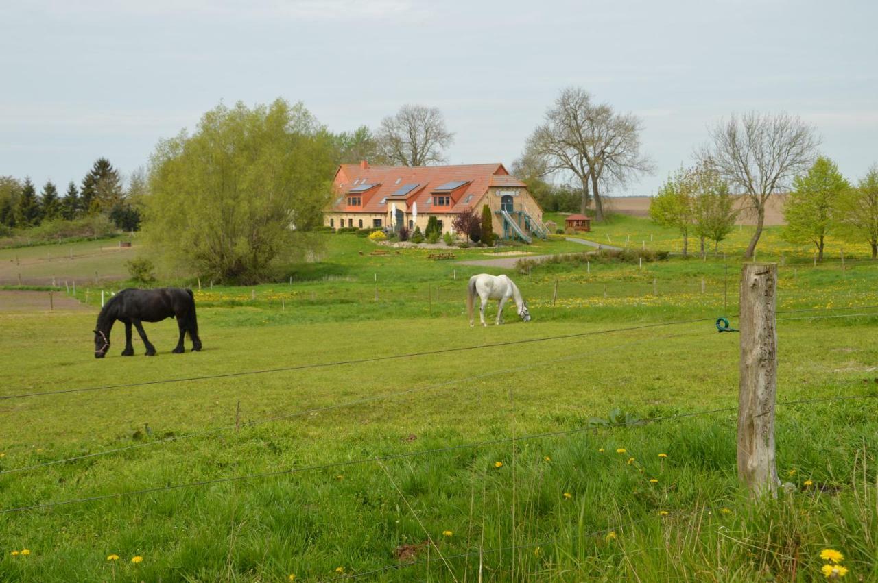 Heu-Ferienhof Altkamp Putbus Kültér fotó