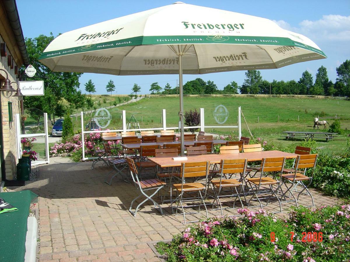 Heu-Ferienhof Altkamp Putbus Kültér fotó